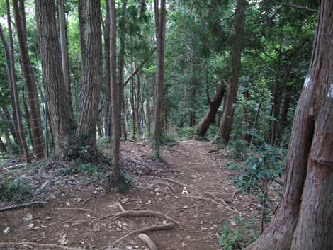 20171005hike (62)
